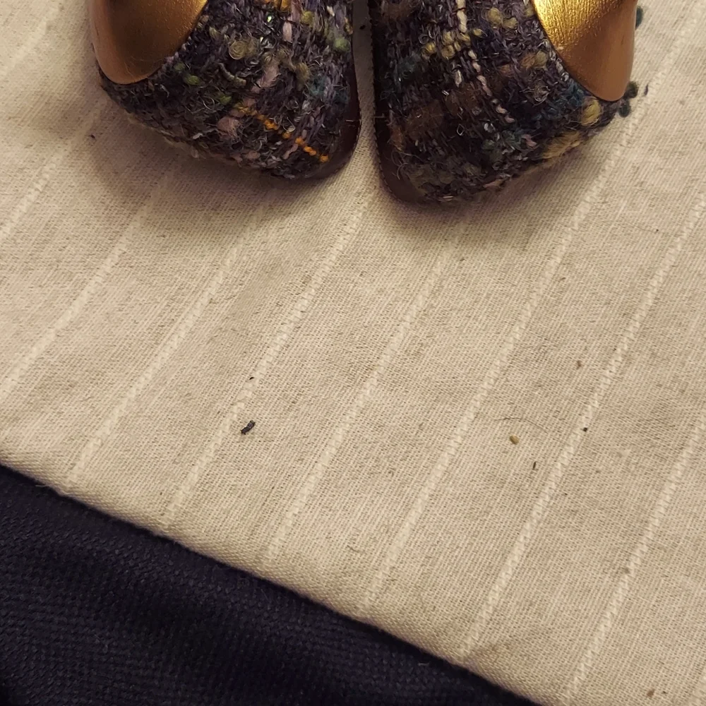 Coach Boucle shoes - Picture 3 of 4